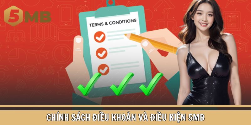 Giới thiệu chính sách điều khoản điều kiện 5MB