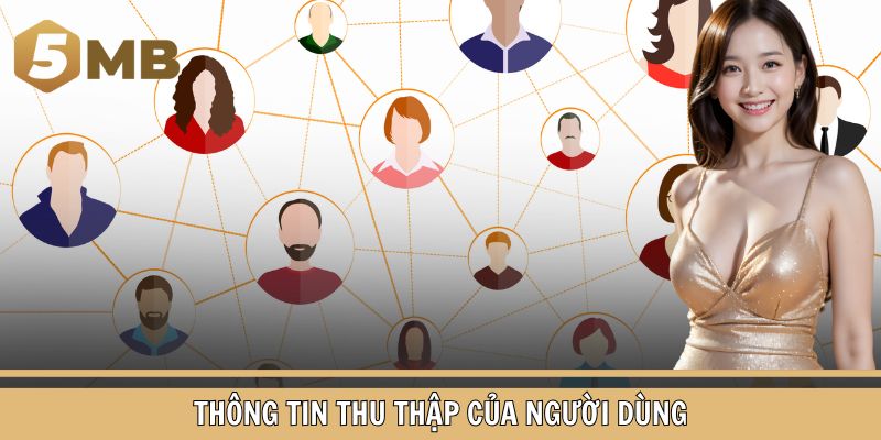 Thông tin người dùng được thu thập tại nền tảng